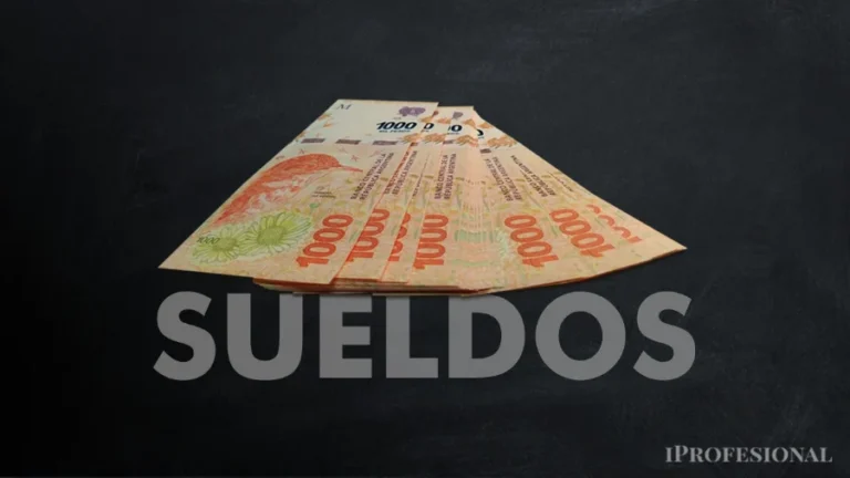 Qué sueldos ejecutivos pagan las Pymes argentinas y cómo compiten con multinacionales por el talento